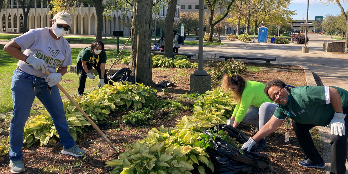 WSU students working at an urban garden.